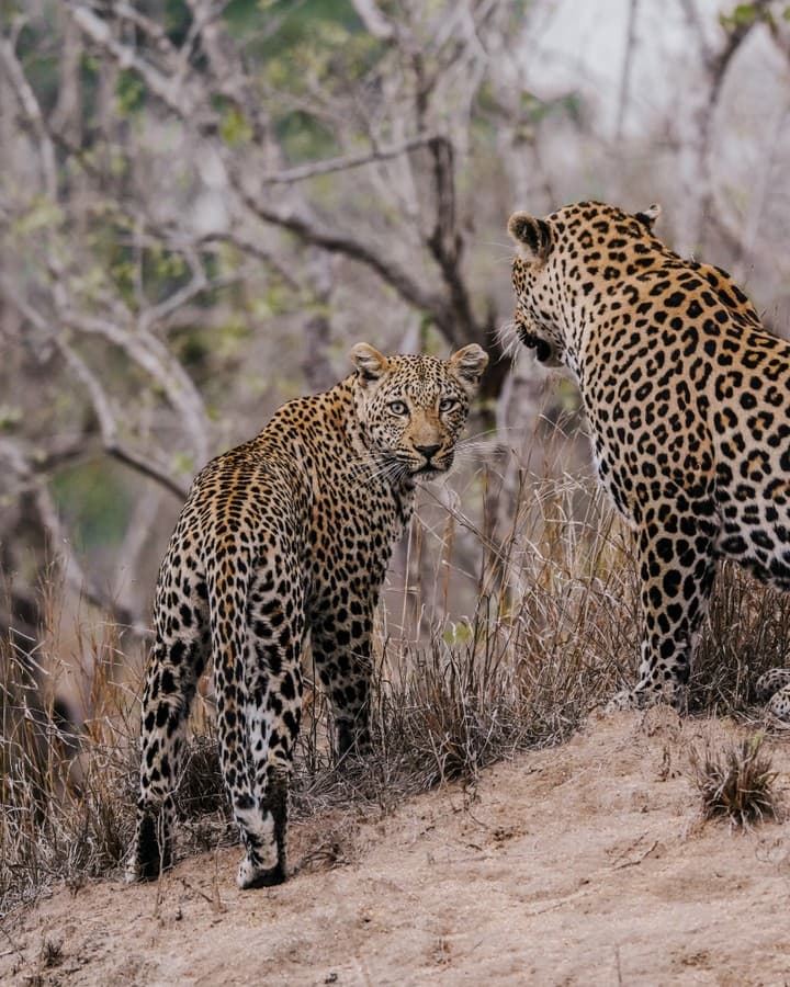Serengeti National Park