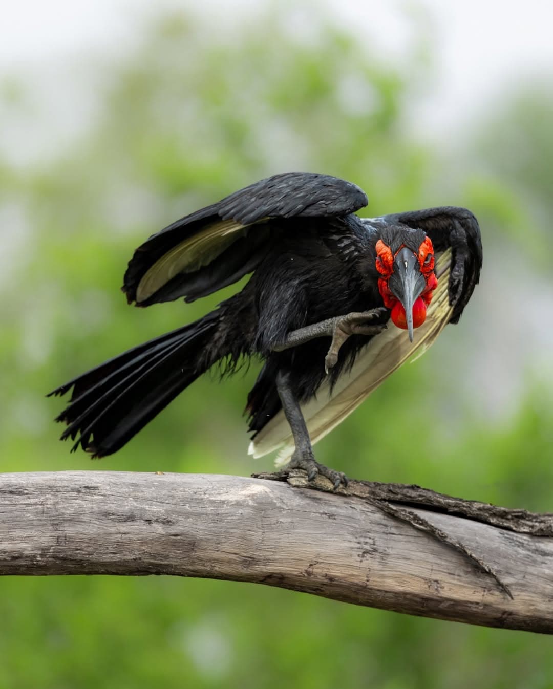 Inside a Kilimagnet Safari: What Makes the Experience Special