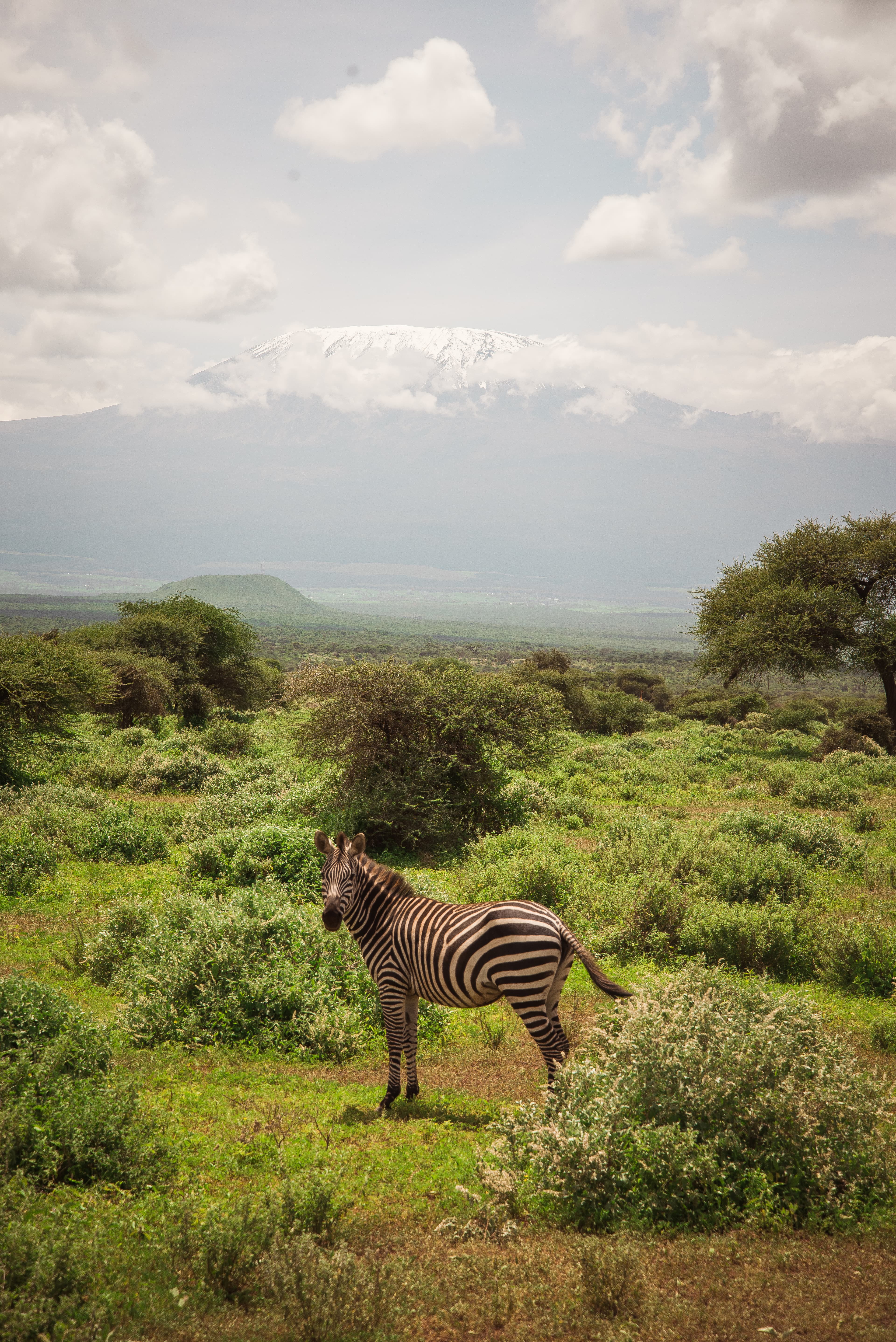Climb Kilimanjaro