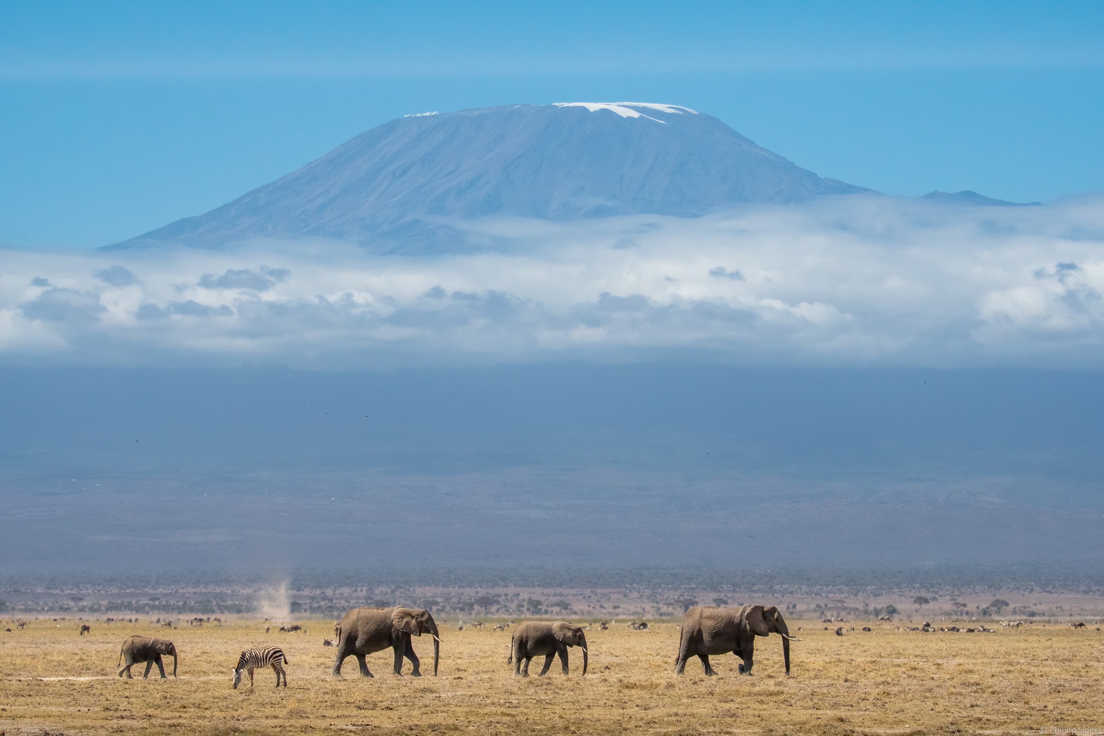 Climb Kilimanjaro