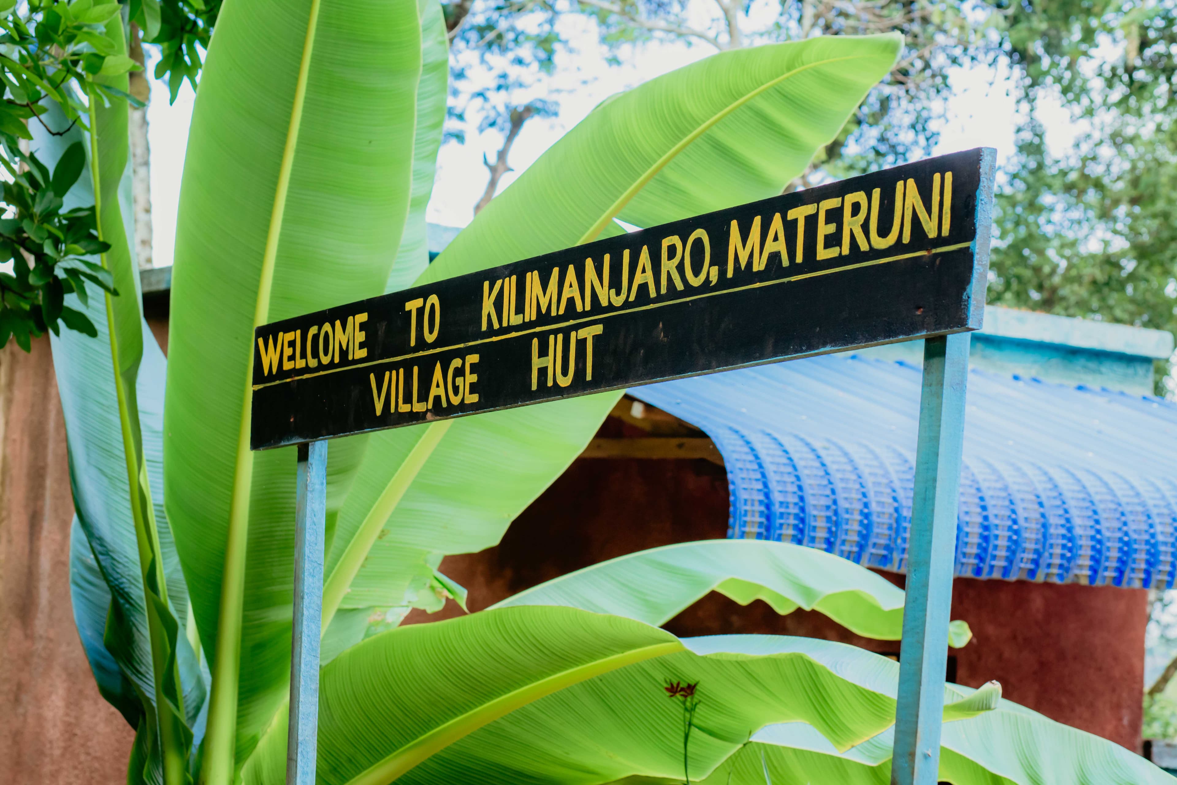 Materuni Waterfall and Coffee Farm Tour