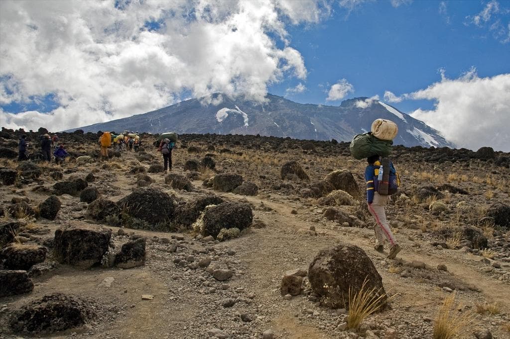 Rongai Northern Ridge Summit Trek