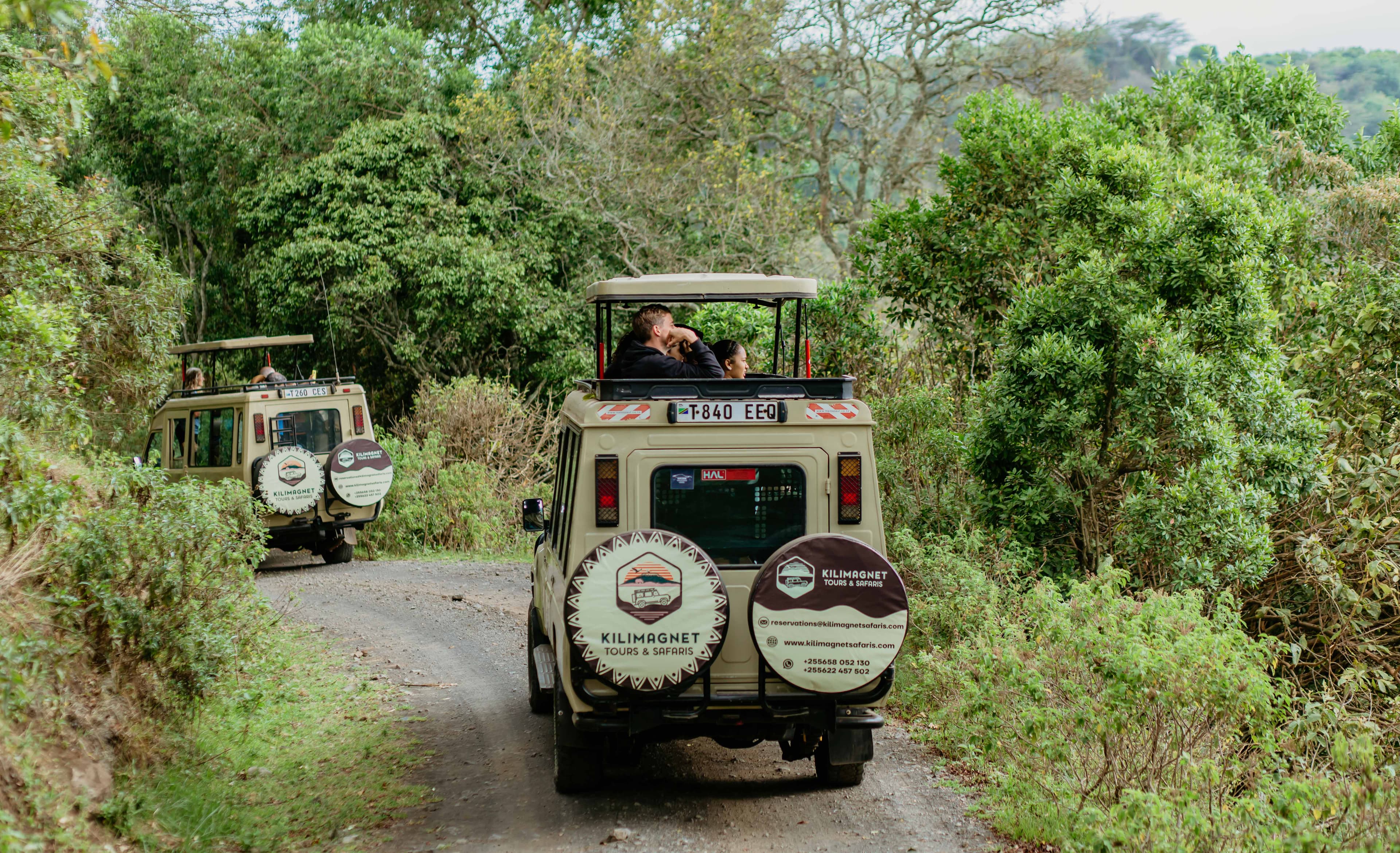 Kilimanjaro safari