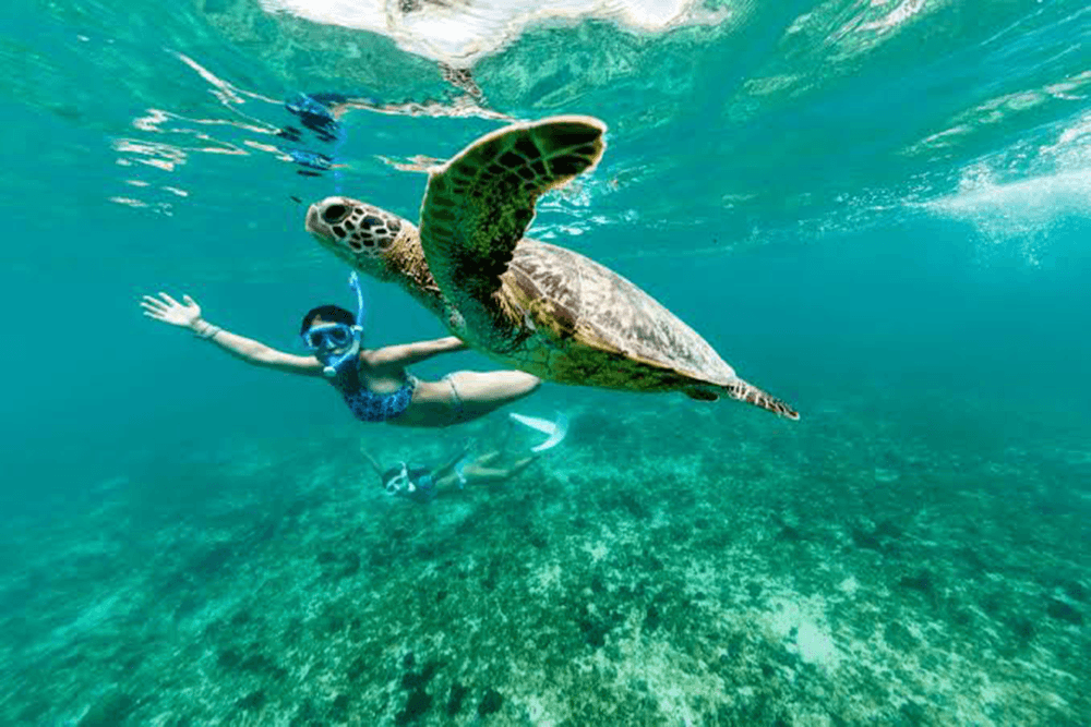 Nungwi Beach & Turtle Sanctuary